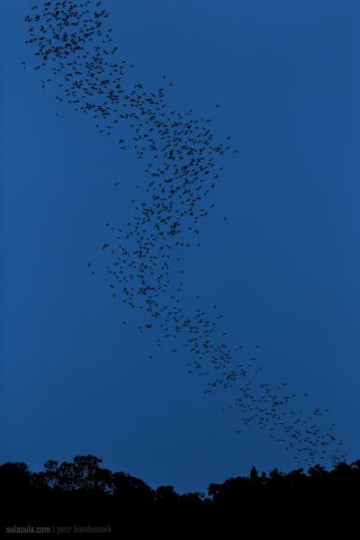 2.místo - únor 2013