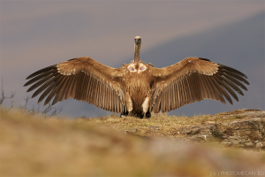 3.místo - září 2015