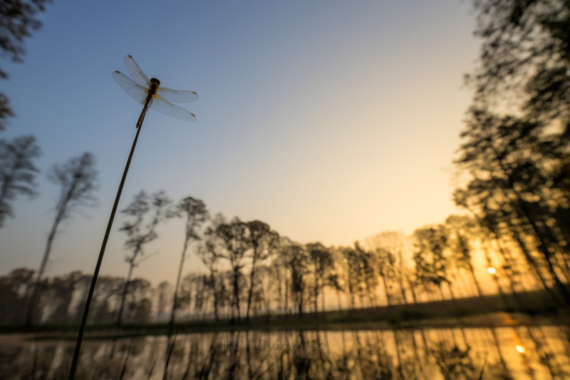 3.místo - říjen 2015