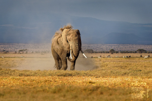 2.místo - říjen 2021