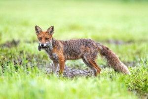 3.místo - listopad 2021