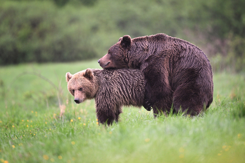 1.místo - září 2022
