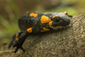 _M6R5516-Edit (1).jpg