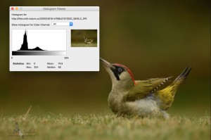 Screen Shot 2015-11-12 at 22.10.20 copy.jpg