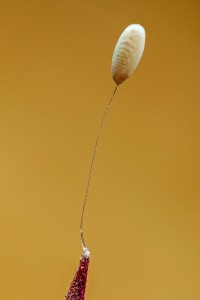 2019-07-19-21.11.20 ZS retouched 1200 x 800 kompr.jpg