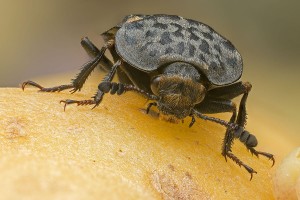 2022-06-29-18.19.37 ZS retouched 1200 x 800 kompr.jpg