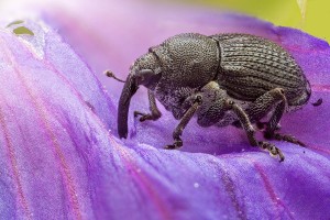 2022-07-05-17.11.28 ZS retouched 1200 x 800 kompr.jpg