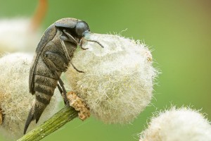 2022-07-02-11.04.03 ZS retouched 1200 x 800 kompr.jpg