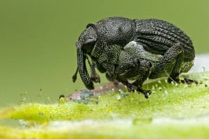 2022-07-28-11.07.39 ZS retouched 1200 x 800 kompr.jpg