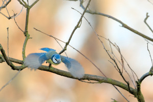 DSC_6198-DxO_DeepPRIME 3_01.jpg