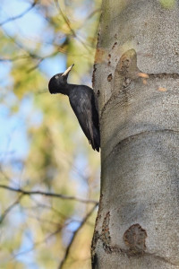 Z datel UP2026-2.jpg