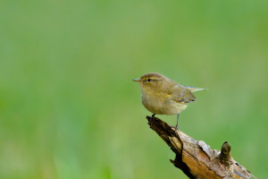 03_185301_DSC_7589-DxO_DeepPRIME XD2s.jpg