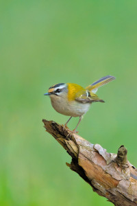 03_191645_DSC_7631-DxO_DeepPRIME XD2s.jpg