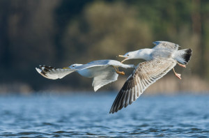 06_082510_DSC_8457-DxO_DeepPRIME 3.jpg