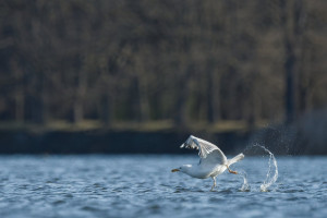 06_084905_DSC_8596-DxO_DeepPRIME 3.jpg