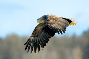 06_082410_DSC_8436-DxO_DeepPRIME 3.jpg