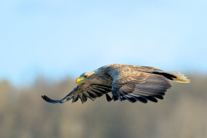 06_082410_DSC_8437-DxO_DeepPRIME 3.jpg