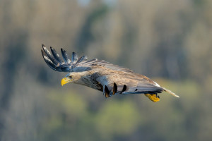 06_082411_DSC_8439-DxO_DeepPRIME 3.jpg